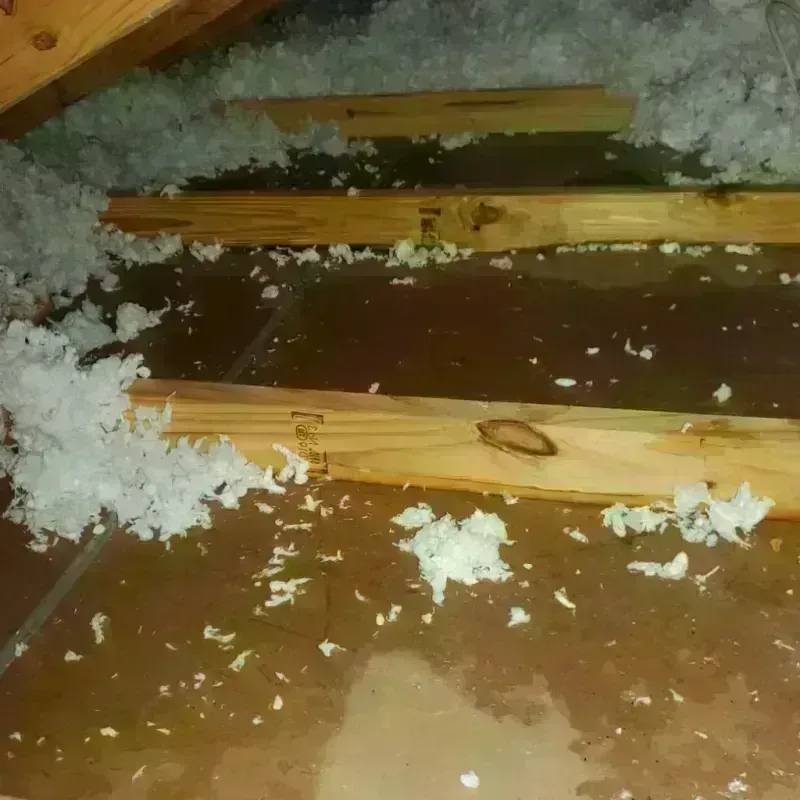 Attic Water Damage in Bedford County, TN